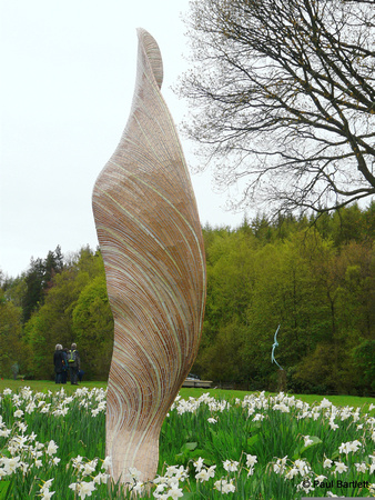 Sophistry (sycamore wing) @ Himalayan garden and sculpture park, Grewelthorpe � Paul Bartlett [4r]