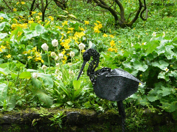 Heron [2] @ Himalayan garden and sculpture park, Grewelthorpe � Paul Bartlett r