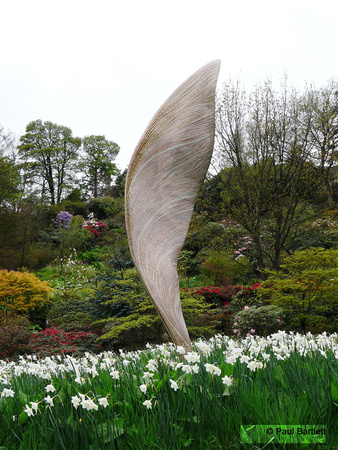 Sophistry (sycamore wing) @ Himalayan garden and sculpture park, Grewelthorpe � Paul Bartlett [2r]