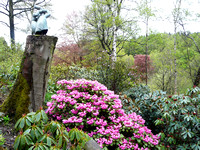Thailand hand @ Himalayan garden and sculpture park, Grewelthorpe � Paul Bartlett [1r]