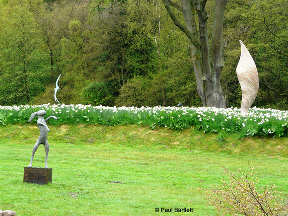 Hare & sycamore wing @ Himalayan garden and sculpture park, Grewelthorpe � Paul Bartlett r