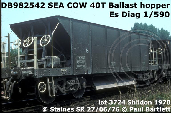 DB982542_SEA_COW__m_Staines 76-06-27