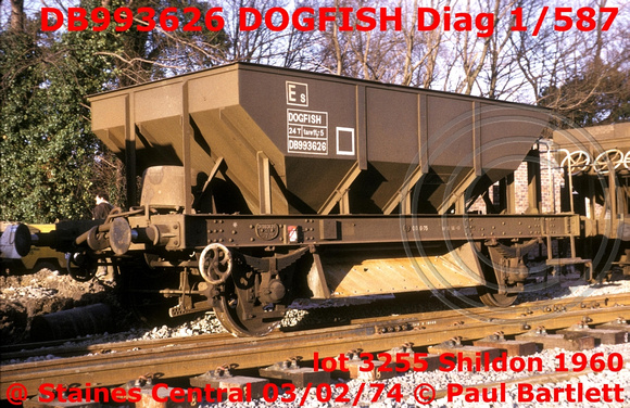 DB993626 DOGFISH