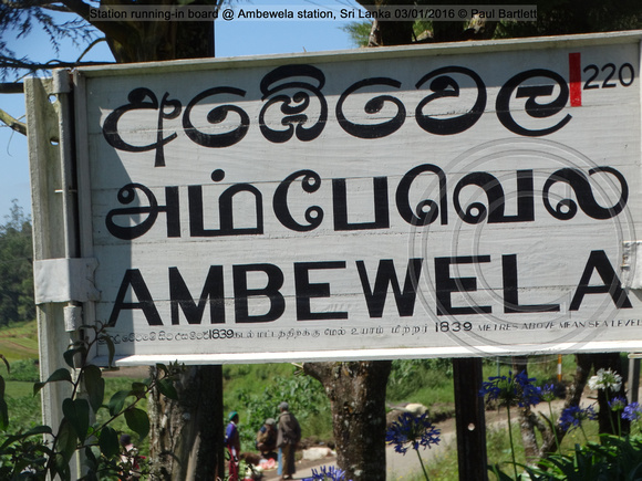Station running-in board @ Ambewela station, Sri Lanka 2016-01-03 © Paul Bartlett [1w]