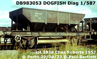 DB983053 DOGFISH
