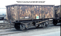 BSCO25127 Corby iron ore tippler @ Lackenby 89-07-28 © Paul Bartlett w