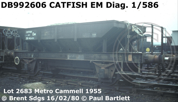 DB992606 CATFISH