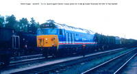 50043 Eagle (exD443) Co Co  [built English Electric Vulcan works 04.10.68] @ Exeter Riverside 87-10-29 © Paul Bartlett [2w]