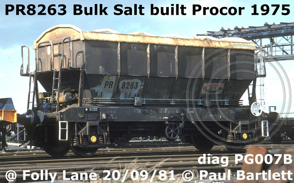 PR8263 Bulk Salt