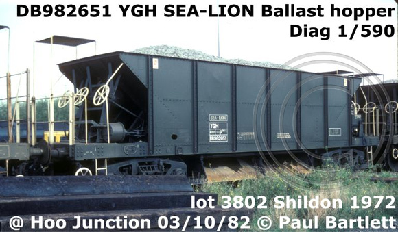 DB982651_YGH_SEA-LION__m_