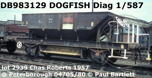 DB983129 DOGFISH