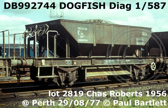 DB992744 DOGFISH