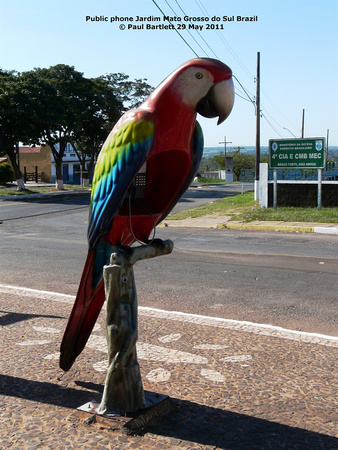 P1150411 parrot phone