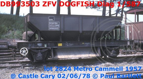 DB993503 ZFV DOGFISH