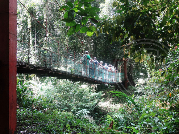 DSC01079 Borneo Rainforest Lodge, Danum Valley