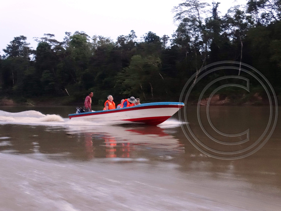 Exodus tour party speeding boat  Kinabatangan River, Sabah, Malaysia