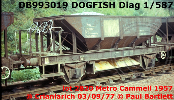 DB993019 DOGFISH