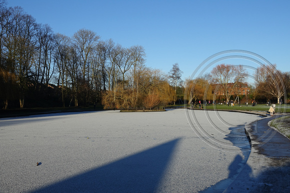 CRI02751 Rowntree Park frozen pond 2020-12-31