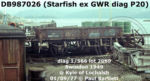 DB987026 (Starfish)