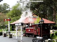 7A on Puffing Billy Railway at Menzies Creek 19-09-2014 � Paul Bartlett