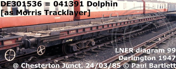 DE301536 = 041391 Dolphin Morris [2]