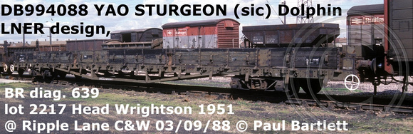 DB994088 YAO STURGEON