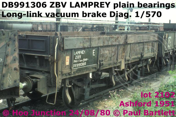 DB991306_ZBV_LAMPREY__m_