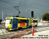 Brussels trams
