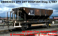 DB983021 ZFV DOGFISH