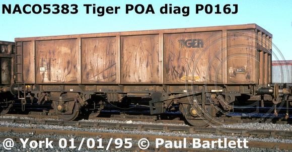 NACO5383 Tiger POA