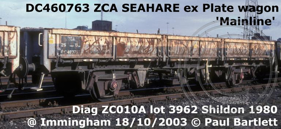DC460763_ZCA_SEAHARE__m_