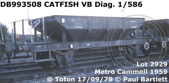 DB993508 CATFISH VB