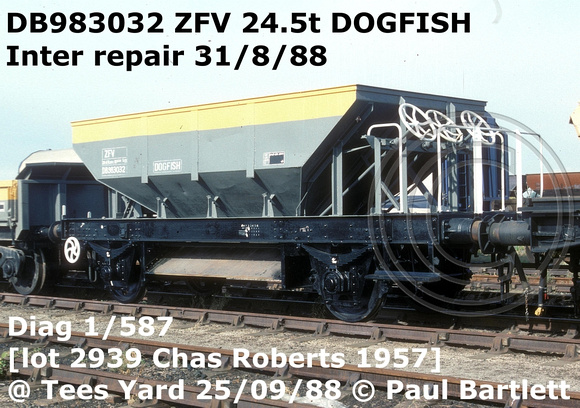 DB983032 ZFV DOGFISH