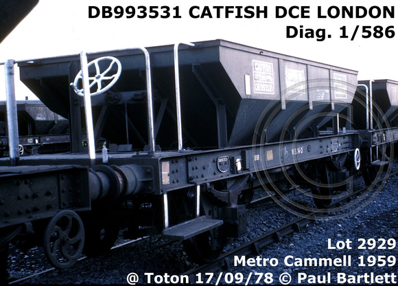 DB993531 CATFISH