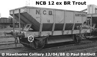 NCB 12 ex BR Trout bw