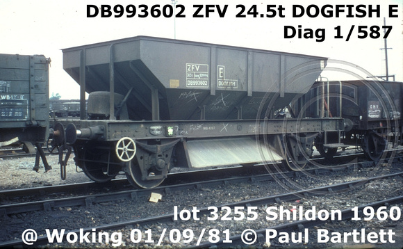 DB993602 ZFV DOGFISH