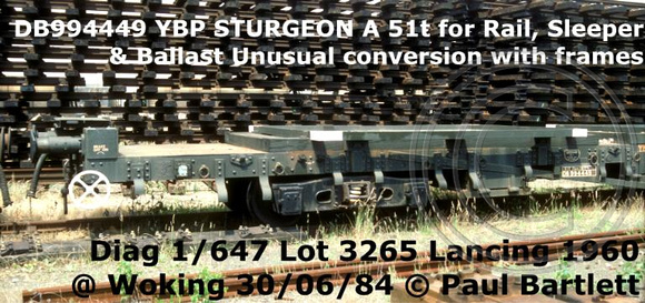 DB994449_YBP_STURGEON_A__2m_