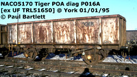 NACO5170 Tiger POA