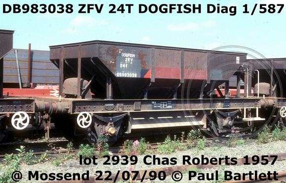 DB983038 ZFV DOGFISH