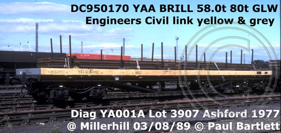 DC950170_YAA_BRILL_@ Millerhill 89-08-03_m_