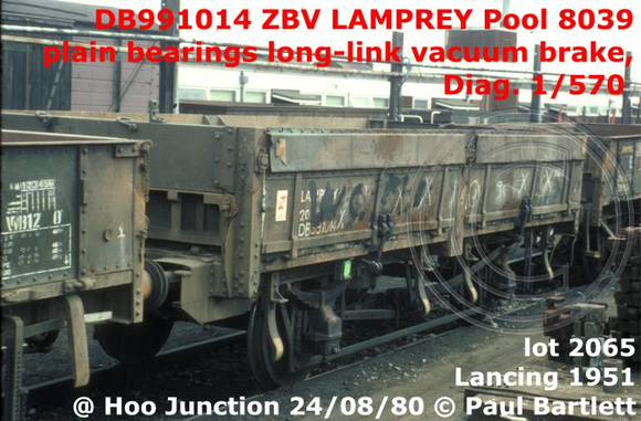 DB991014_ZBV_LAMPREY__m_