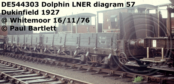 DE544303 Dolphin