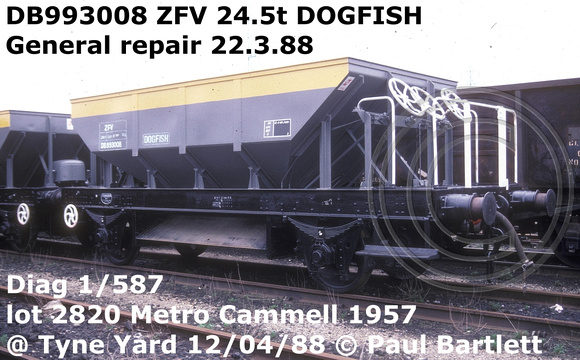 DB993008 ZFV DOGFISH