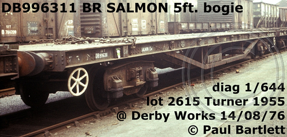 DB996311 SALMON
