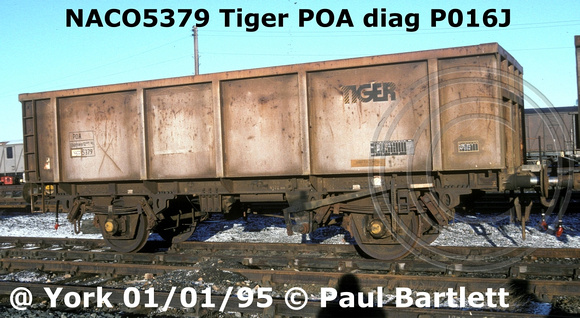 NACO5379 Tiger POA