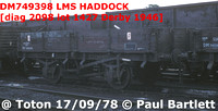 DM749398 HADDOCK