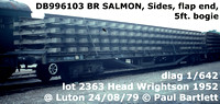 DB996103 SALMON