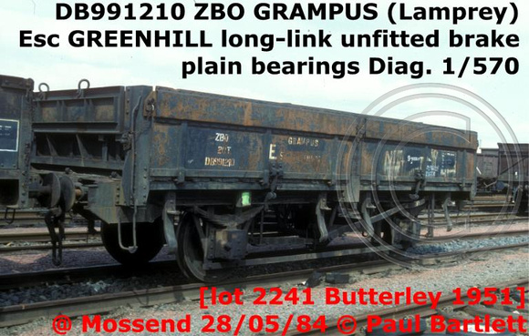 DB991210_ZBO_GRAMPUS__m_