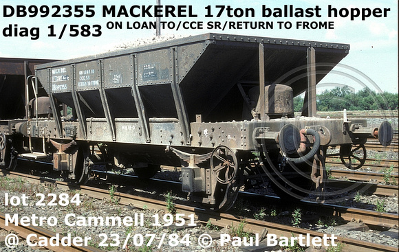 DB992355 MACKEREL